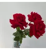 3 розы «Трио» 1