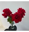 3 розы «Трио» 2