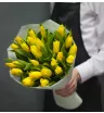 Солнечные тюльпаны