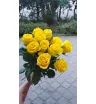 Пени лейн 11 штук
