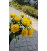 Ванильный