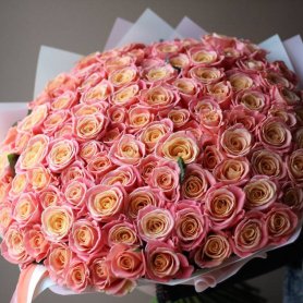 101 роза "Мисс пигги" от интернет-магазина «Floral24» в Сочи