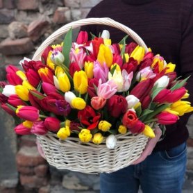 101 тюльпан в корзине микс от интернет-магазина «Floral24» в Сочи