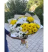 Монобукет «Красавице»