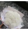 Рибонет