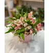 Розовая коробочка