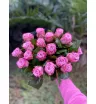 Вкусные розы 1